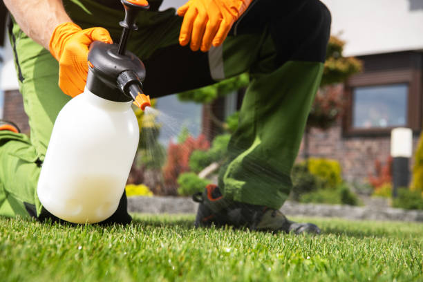 Best Commercial Pest Control Services  in Tusculum, TN