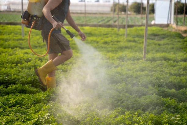 Best Best Pest Control Companies  in Tusculum, TN