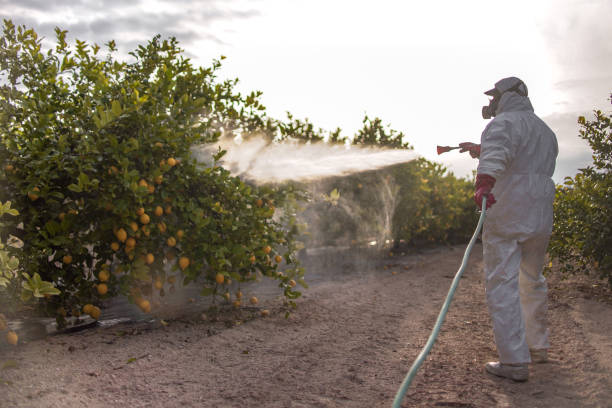 Best Pest Removal Services  in Tusculum, TN