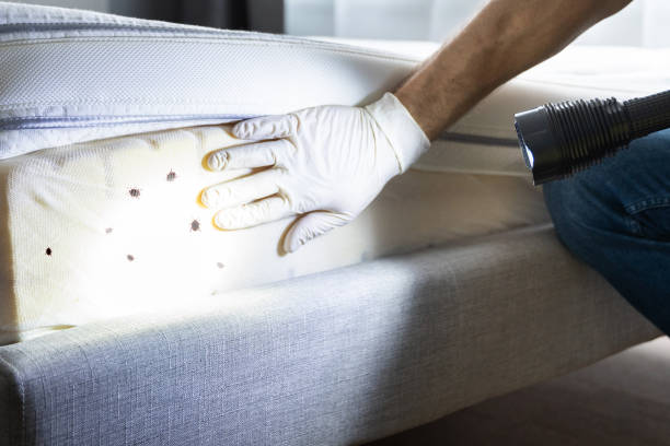 Best Best Pest Control Companies  in Tusculum, TN