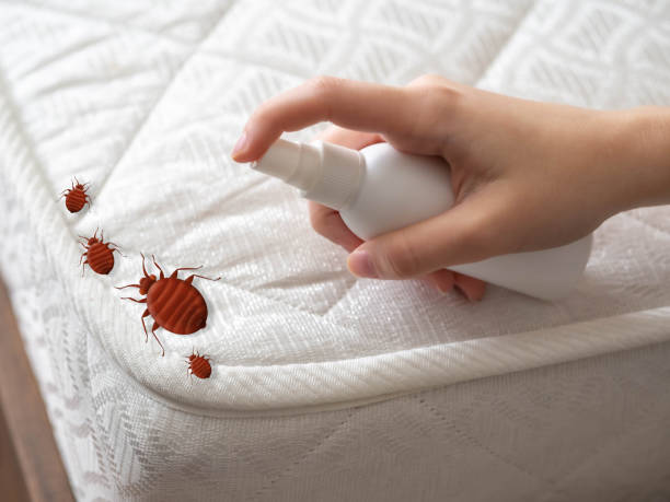 Best Insect Control  in Tusculum, TN